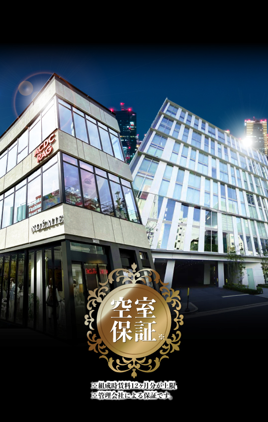 PLATINUM HYBRID HARAJUKU × SHINSAIBASHI Ⅱ